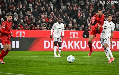 拜仁VS霍芬海姆 赛事分析