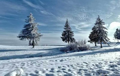 欧联杯决赛或成曼联赛季转折点