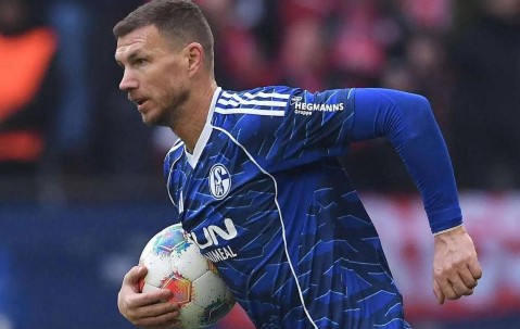 哲科老骥伏枥再展锋芒，与C罗同样自律，沙尔克04捡到宝，力争重返德甲！