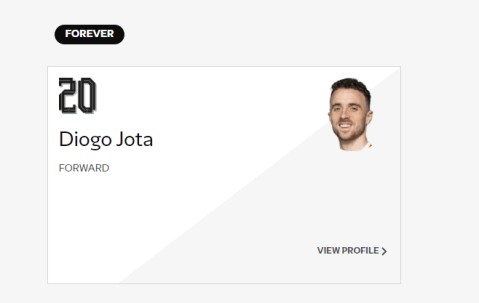 FORWARDS—FOREVER！ 利物浦官网阵容名单为若塔设单项